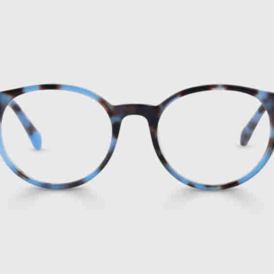 Case Closed Eyeglasses