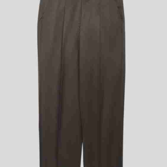 Elephant Pleated Chinos