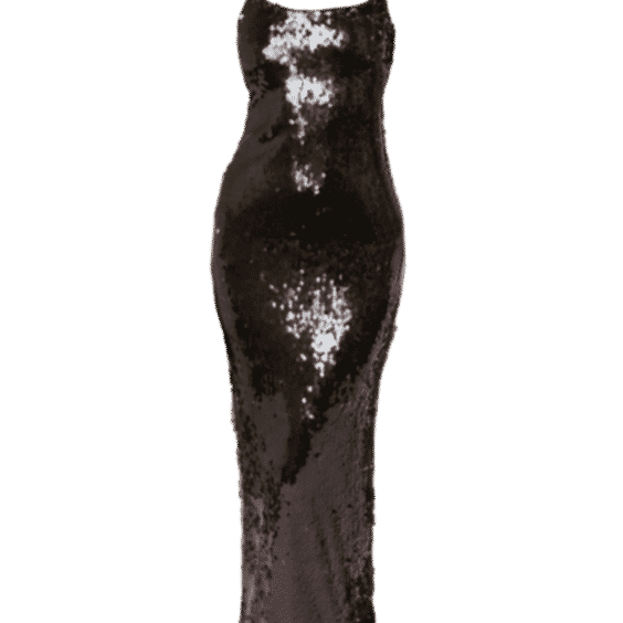 Sequin Dress 