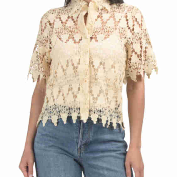 Short Sleeve Lace Top with Pointed Collar
