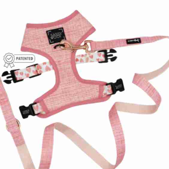 Dolce Rose Dog Harness & Leash