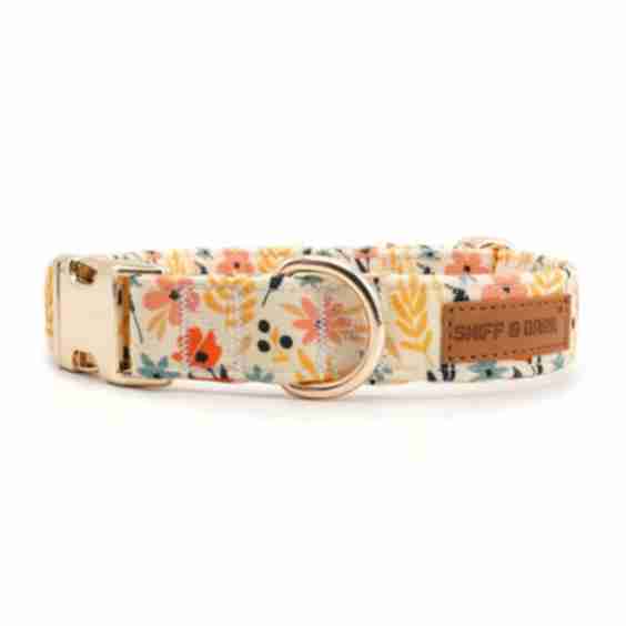 Signature Band - Crafted Dog Collar