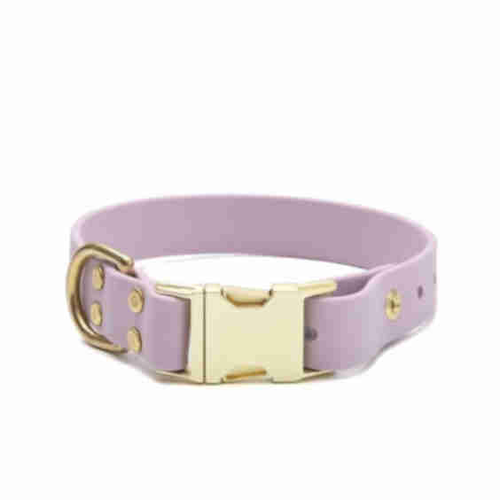 Waterproof Leather Alternative Dog Collar with Engraved Buckle