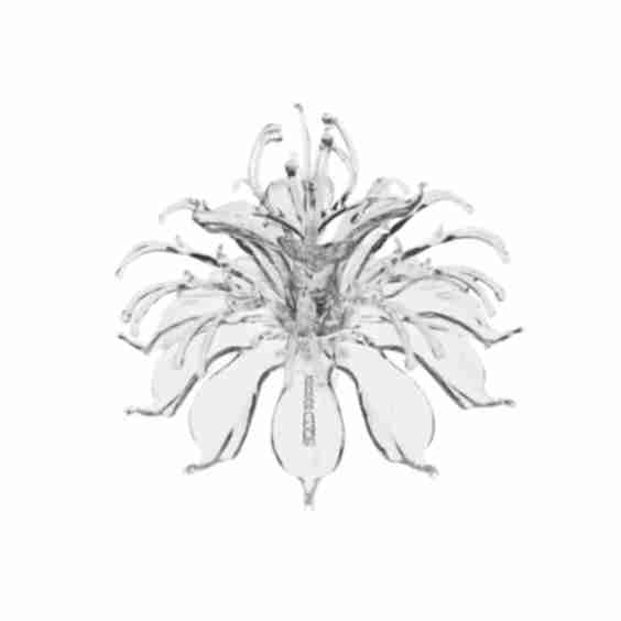 'Blooming Monarda' Ring
