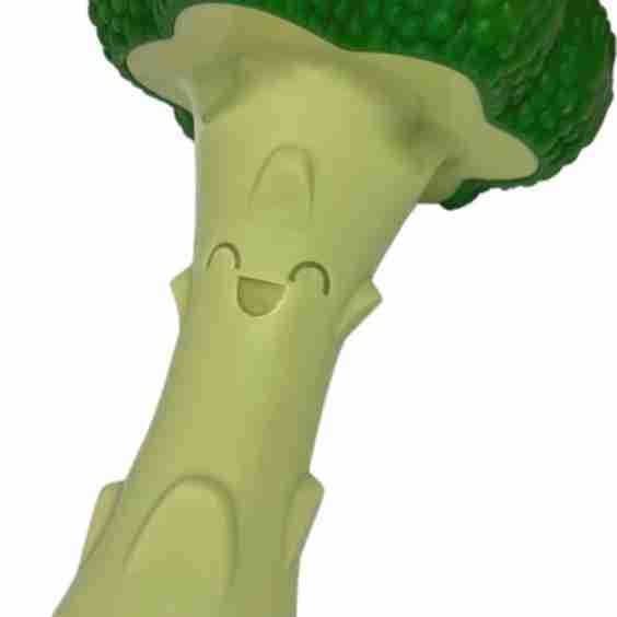 Power Chew Broccoli Dog Toy Large