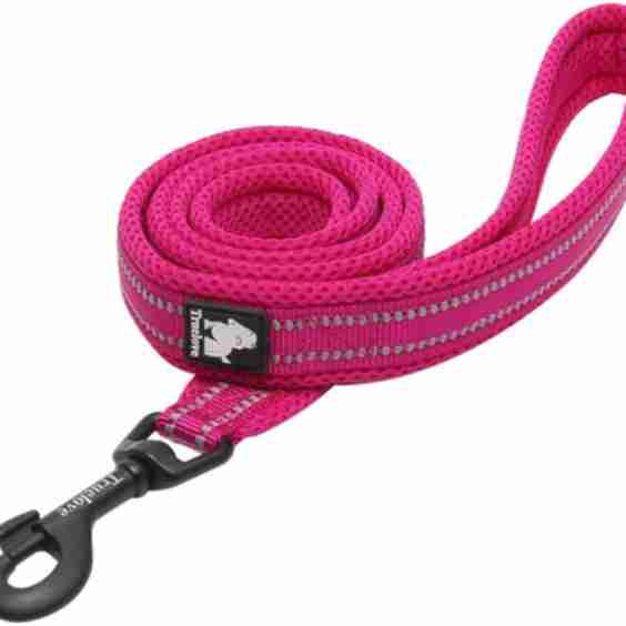Padded 3M Reflective Outdoor Adventure Dog Leash, 3.6-ft long, 1-in wide