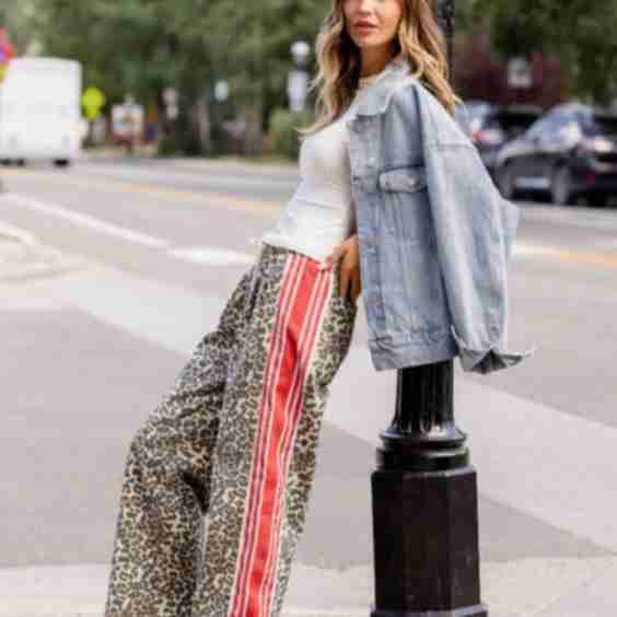 Marlie Leopard Print Pull On Pants