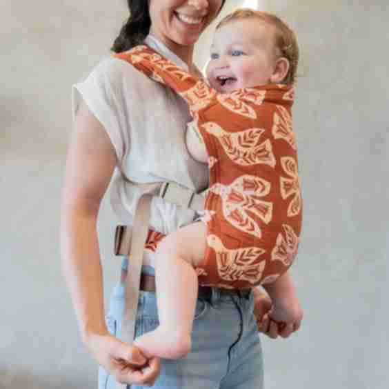 Wren Lark Baby Carrier