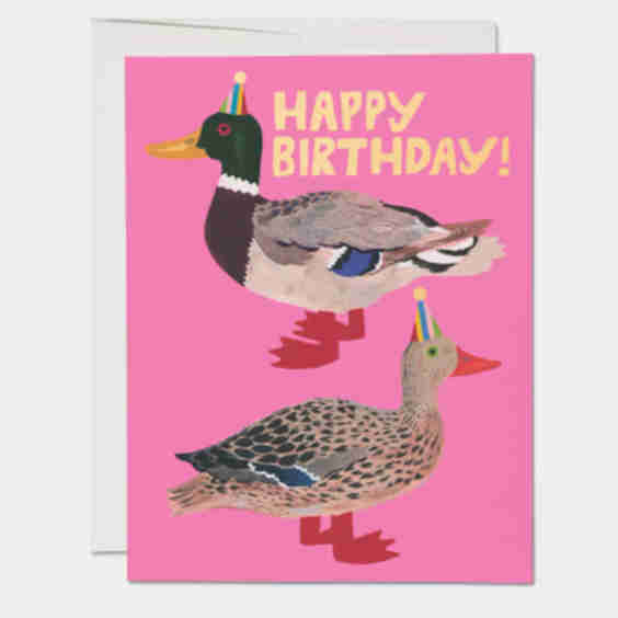 Quacky Birthday Greeting Card