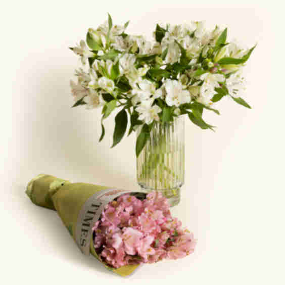 Alstroemeria Flower Bouquet