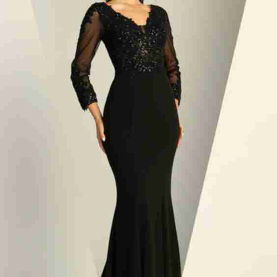 Long Sleeve Formal Fitted Evening Dress