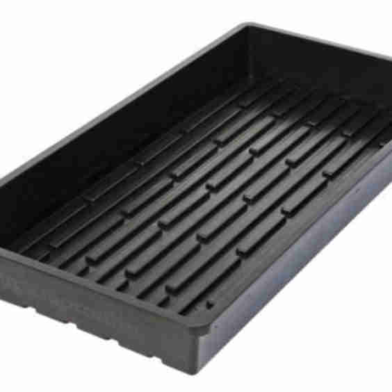 Quad Thick 10 X 20 Sprouter Tray