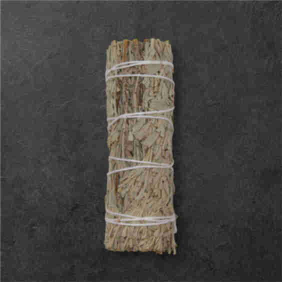 Blue Sage
