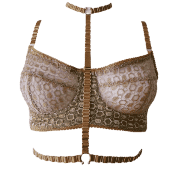 The Goddess Bustier