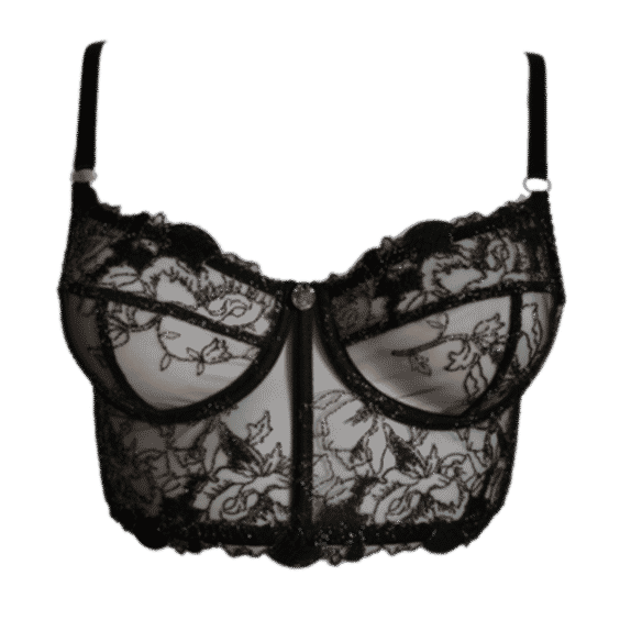 Night in Paris Bustier