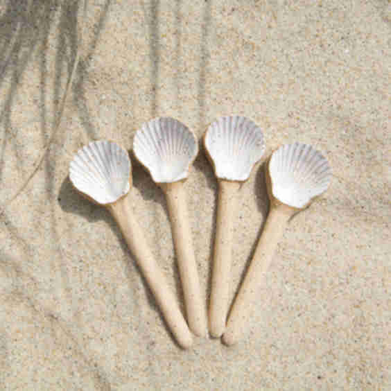 Seashell Spoon