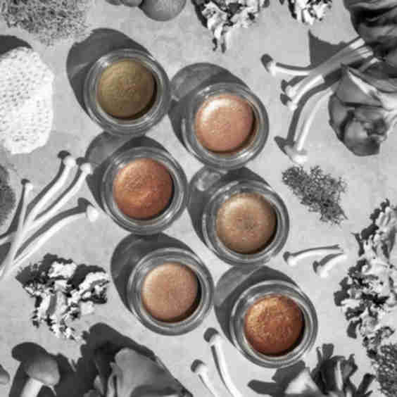 Flash Florescence Mystic Meadows Collection