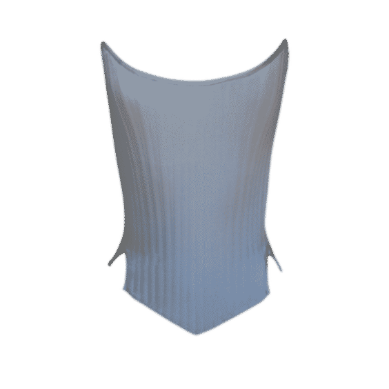 Celestial Renaissance Corset