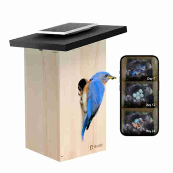 Smart Bird House