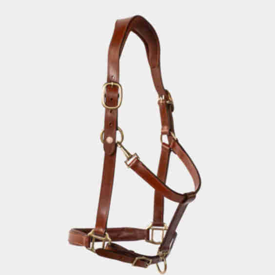 Amiko Leather Halter