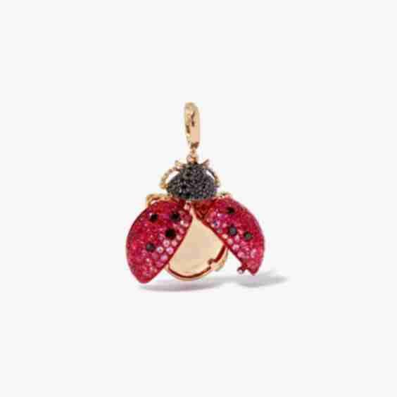 Mythology Ladybird Locket Charm Pendant