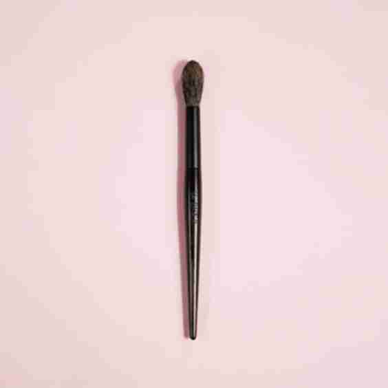 Pure-01 Multi-Purpose Powder Brush