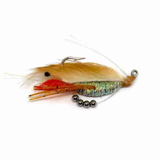 Click-Bait Shrimp Bugg