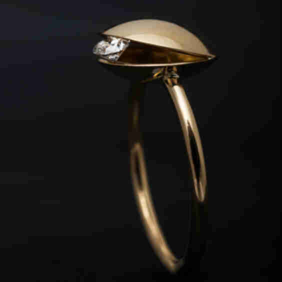 A Hidden Gem Ring