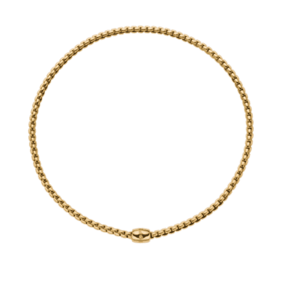 Flex'it Necklace with Ornamental Clasp