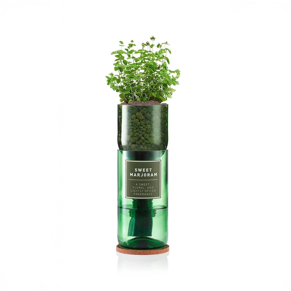 Hydro Herb Growing Kit
