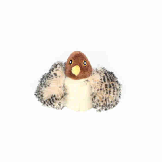 Melody Chaser Bird