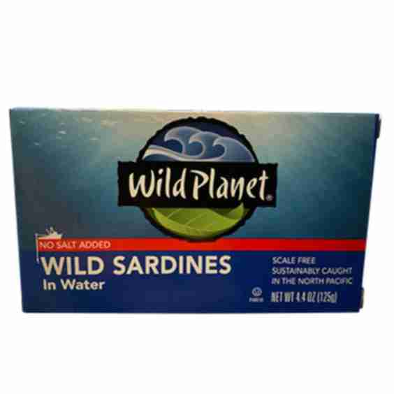 Wild Sardines In Water