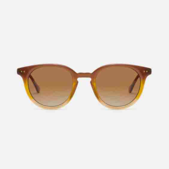 Havelock Sunglasses