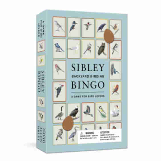 Backyard Birding Bingo Game
