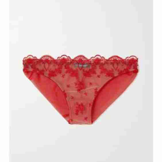 Lolita Embroidered Tulle Briefs