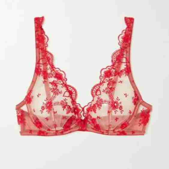 Lolita Embroidered Tulle Underwired Triangle Bra