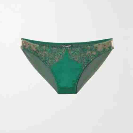 Royal Jewel Satin-Trimmed Embroidered Tulle Briefs
