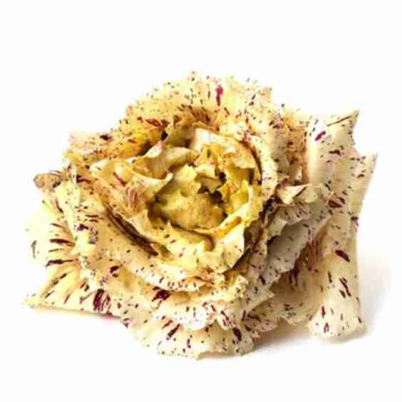 Radicchio Castelfranco