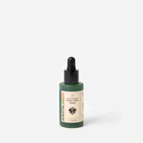 House Plant Elixir