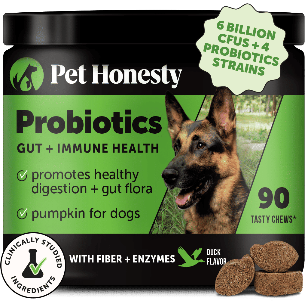 Gut + Immune Health Digestive Probiotic Chews for Dogs 