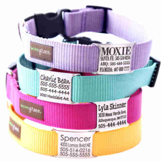 Engraved Nameplate Dog Collar 
