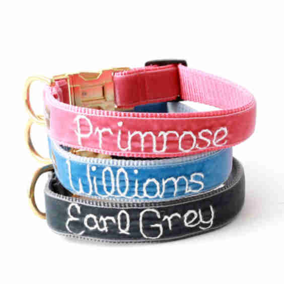 Hand Embroidered Dog *36 Velvet Dog Collar Colors