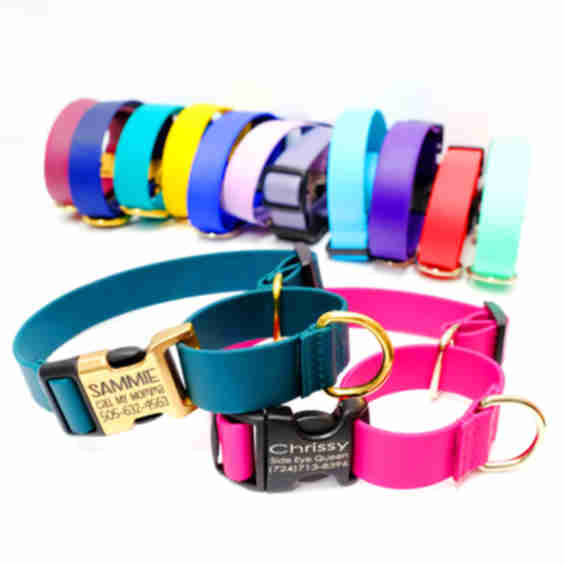 Waterproof Martingale Dog Collar with Engraved Buckle