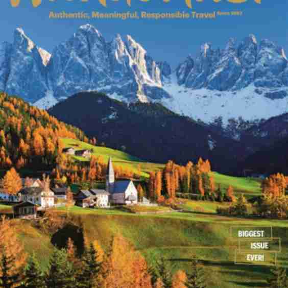 Issue 242 December/ January  2026