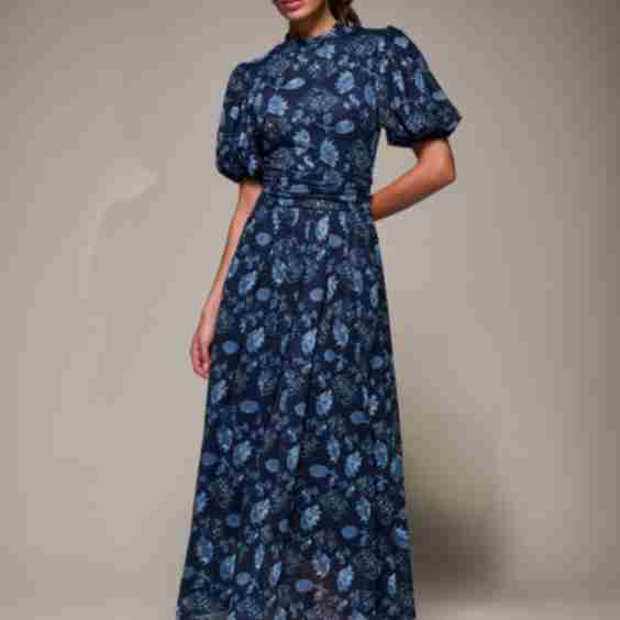 Puffy Sleeve Printed Mesh Maxi Dress