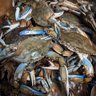 BuyCrab.us