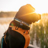 Ruffwear