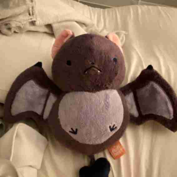 Fluffnest Reviews