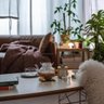Bellocq