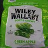 Willy Wallaby